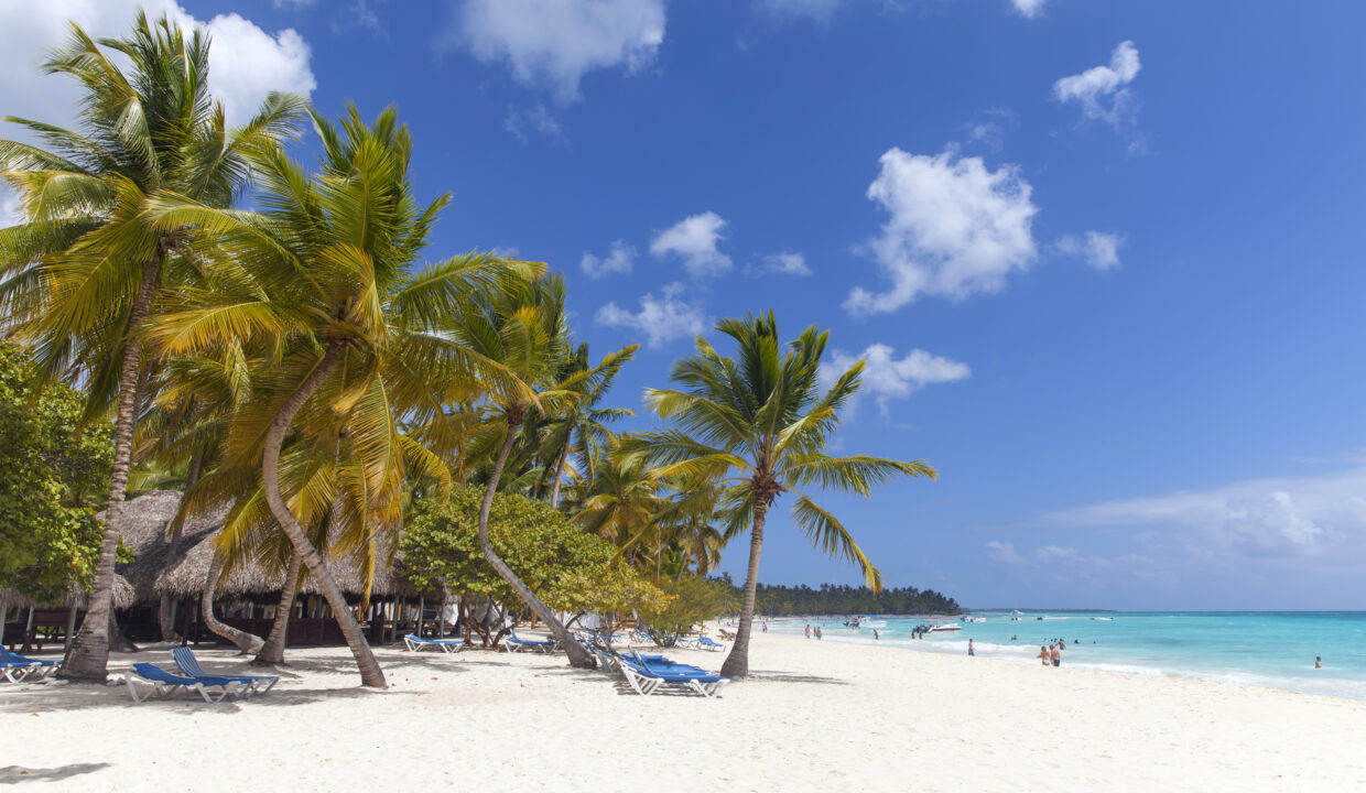 caribbean-paradise-beach-front-with-palm-trees-d-2023-11-27-05-27-14-utc